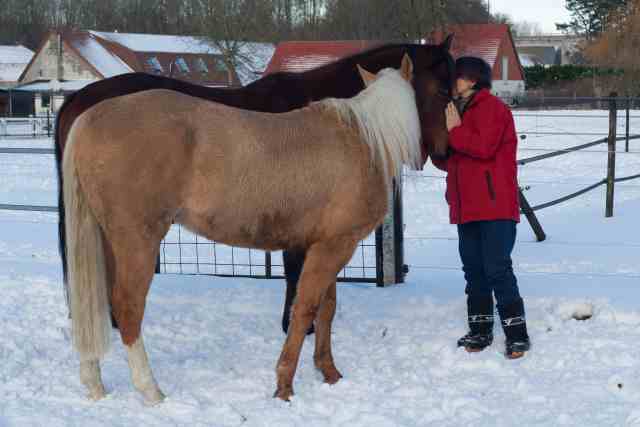 Anne avec chevaux dans la neige