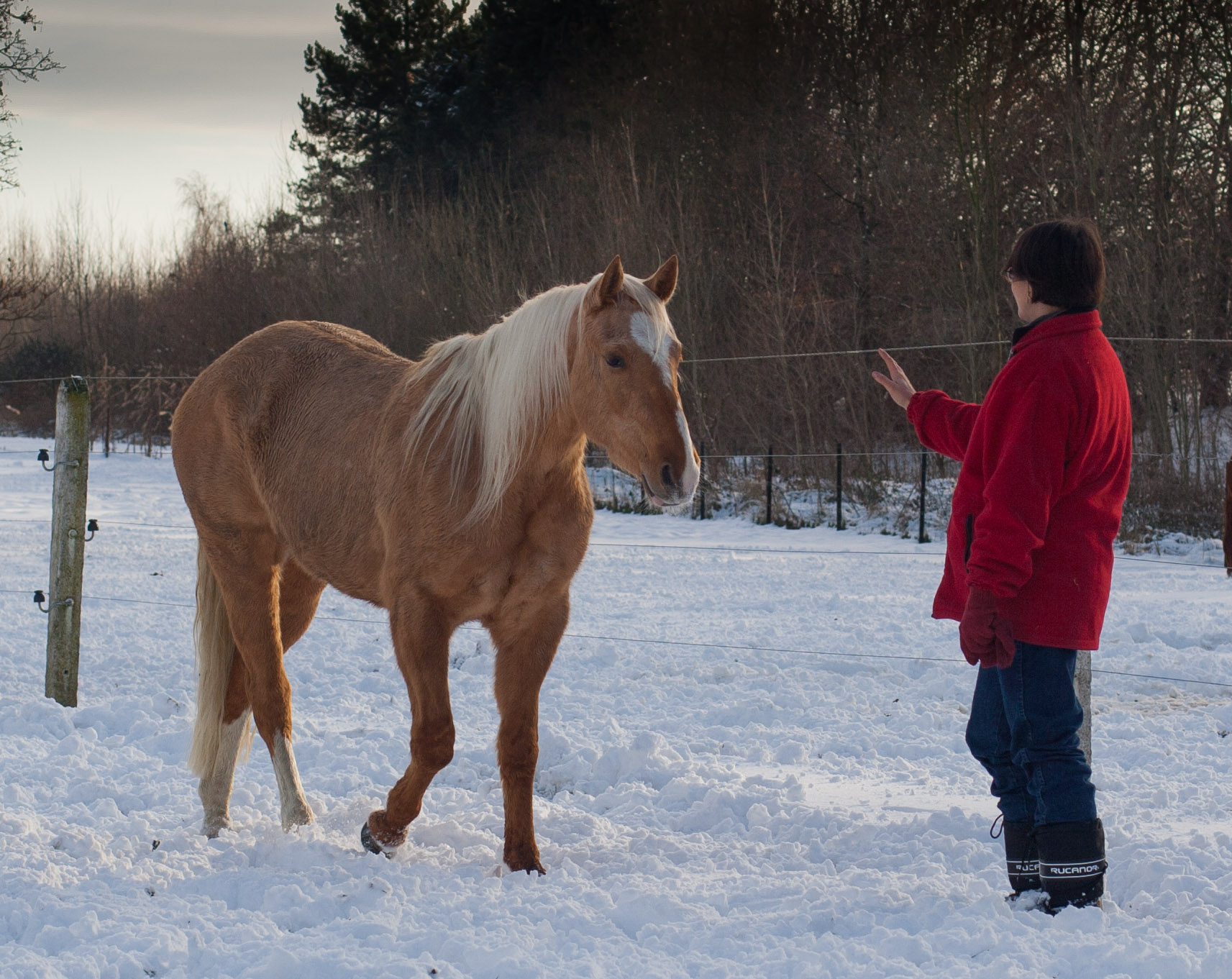 Anne indiquant au cheval de garder ses distances