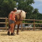 Anne en séance avec un cheval en piste