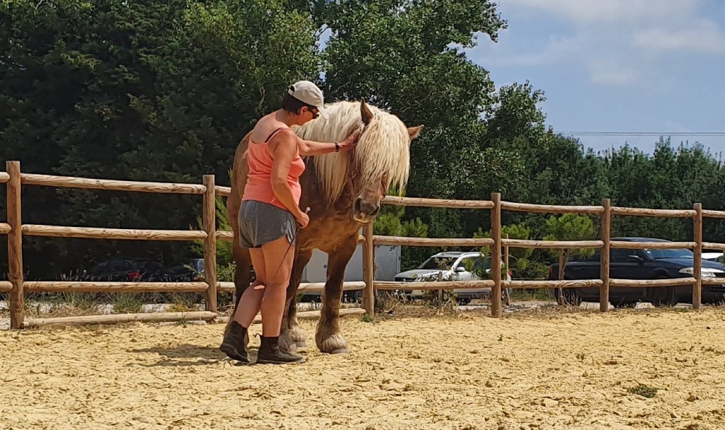 Anne en séance avec un cheval en piste