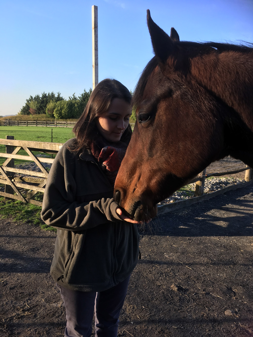 Jeune fille avec cheval lors d'un atelier CNV