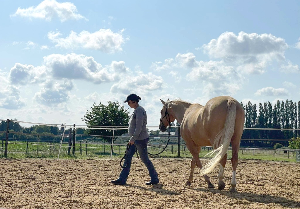 Anne en séance avec un cheval