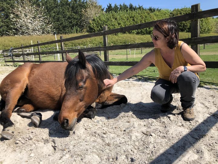 Anne au pied d'un cheval couché